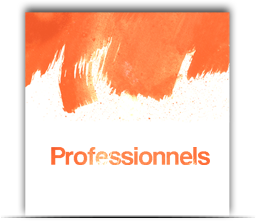 Professionnels